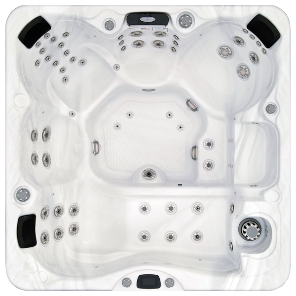Avalon-X EC-867LX hot tubs for sale in Germany